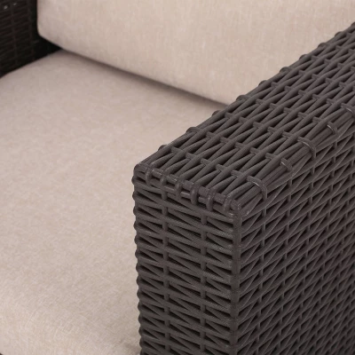 Waverly 2pk Faux Wicker Club Chairs - Brown/Beige - Christopher Knight Home