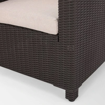 Waverly 2pk Faux Wicker Club Chairs - Brown/Beige - Christopher Knight Home