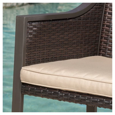 Riga Set Of 2 Bar Stool - Brown - Christopher Knight Home