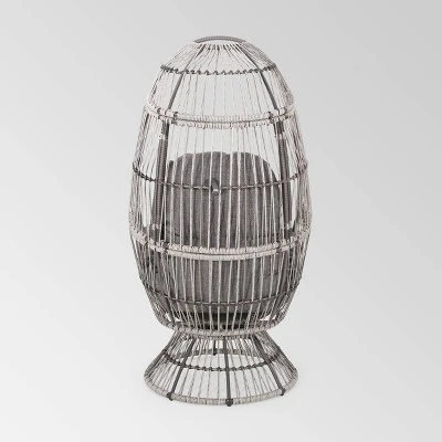 Pintan Wicker Swivel Egg Chair - Christopher Knight Home