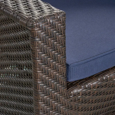 Larchmont Wicker Swivel Chair - Brown/Navy - Christopher Knight Home